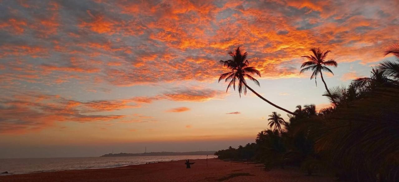 Eco Cabanas Marakolliya Tangalle Kültér fotó