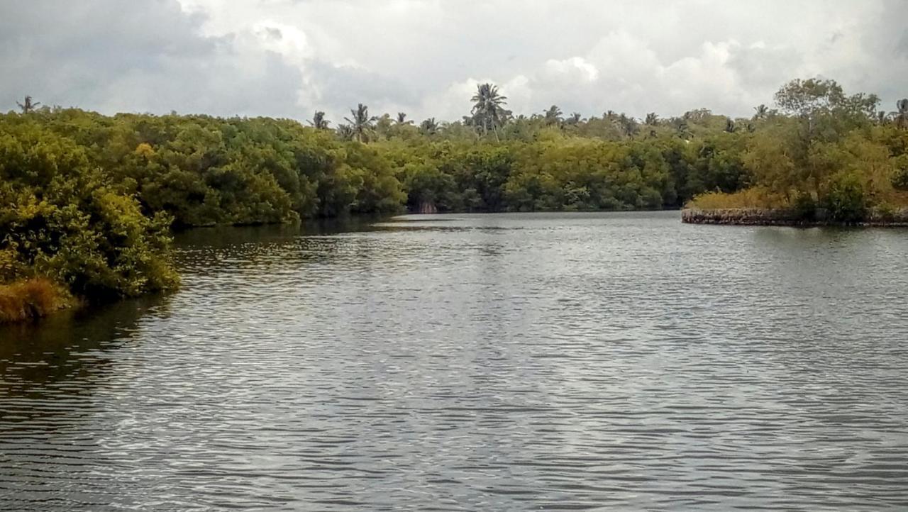 Eco Cabanas Marakolliya Tangalle Kültér fotó